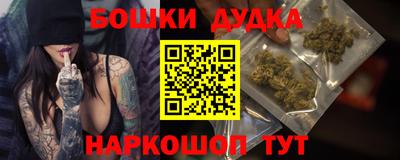 PSILOCYBIN Кандалакша