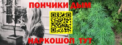 PSILOCYBIN Кандалакша