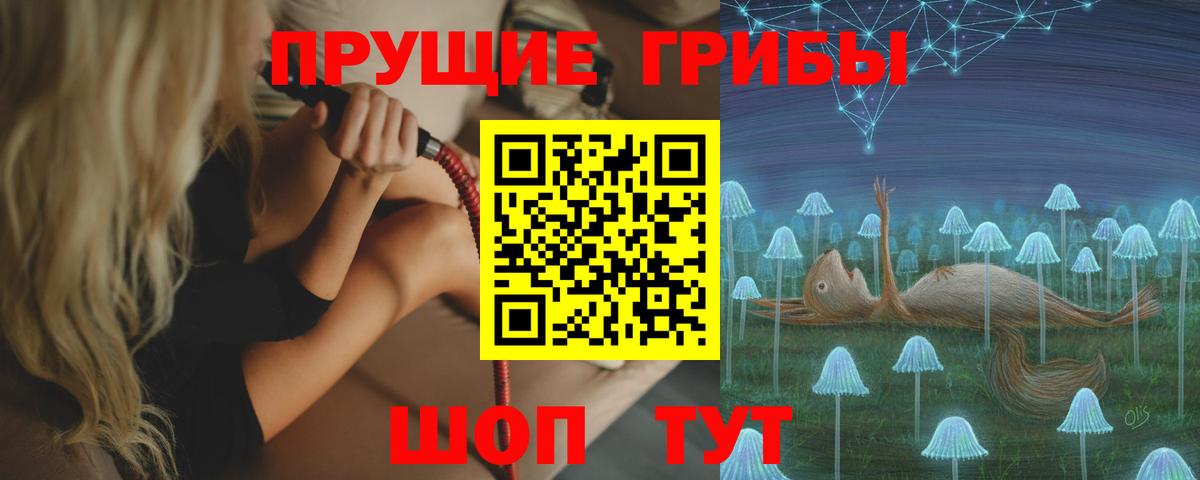 Куйбышев  Галлюциногенные грибы мицелий  Вход с VPN 